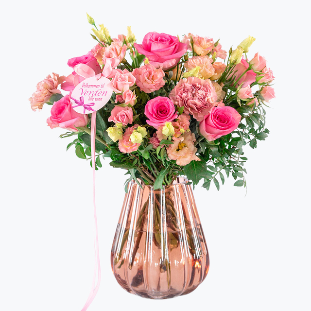 Velkommen til verde - rosa